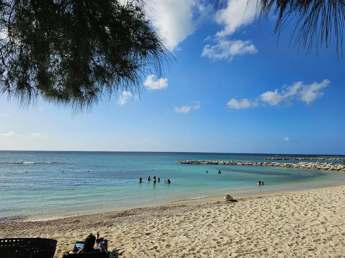 Beach & Bay Studio 蒙特哥贝 0*,  牙买加